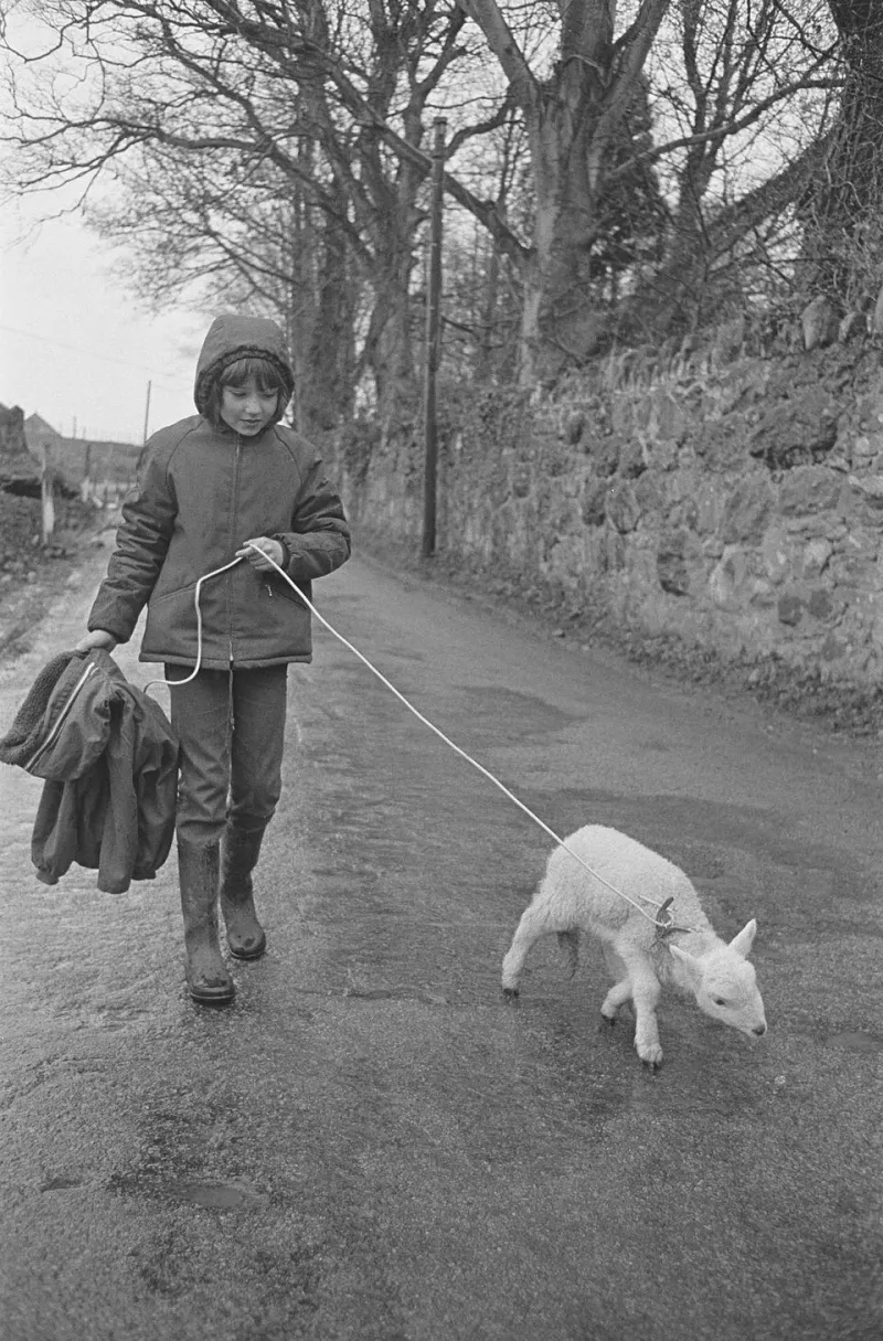 From First Day Home to Forever: Building a Photo Archive of Your Pet's Whole Life