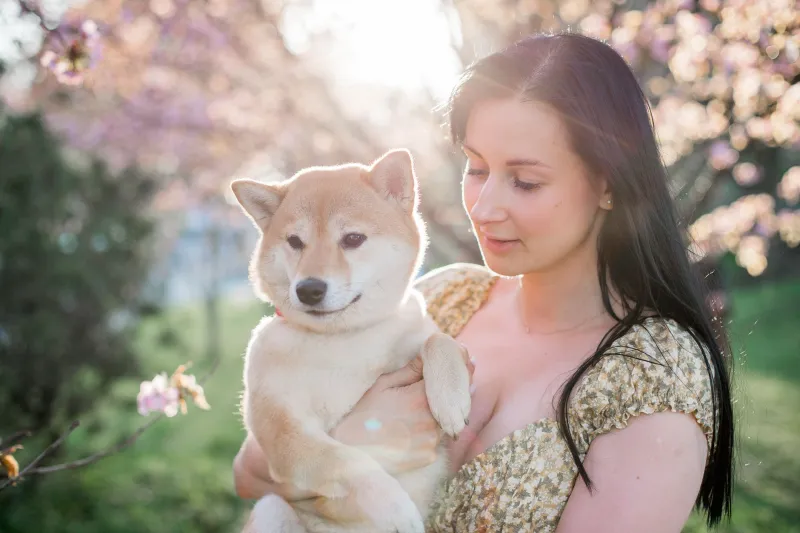 Where They Were Happiest: The Rise of On-Location Tribute Sessions at a Dog's Favorite Place