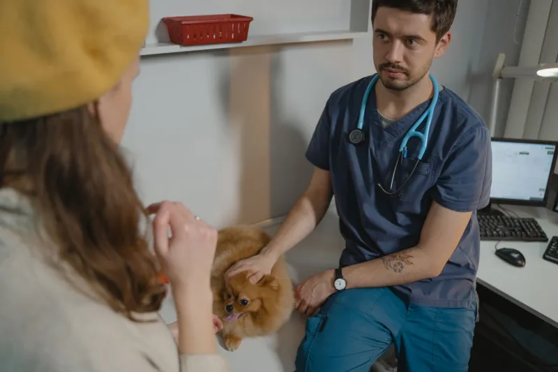 Shots Taken in the Waiting Room: Why Vet Visit Photos Are Becoming Some of the Most Treasured in a Pet Owner's Collection